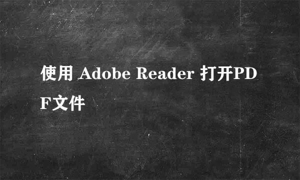 使用 Adobe Reader 打开PDF文件