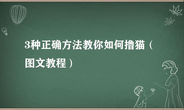 3种正确方法教你如何撸猫（图文教程）