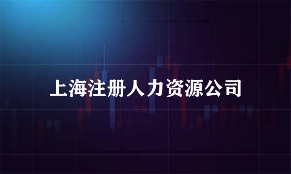 上海注册人力资源公司