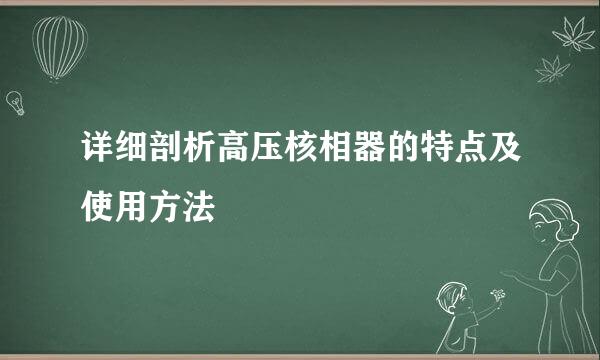 详细剖析高压核相器的特点及使用方法