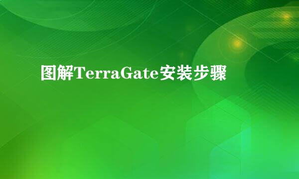 图解TerraGate安装步骤