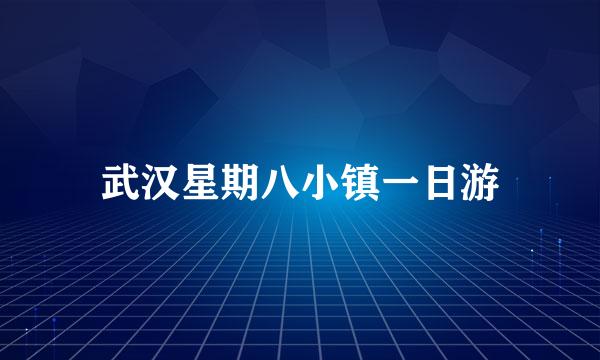 武汉星期八小镇一日游