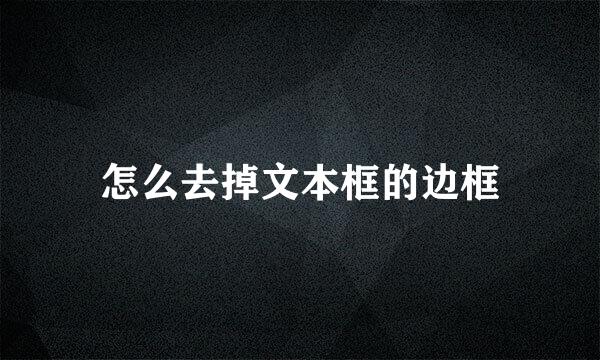 怎么去掉文本框的边框