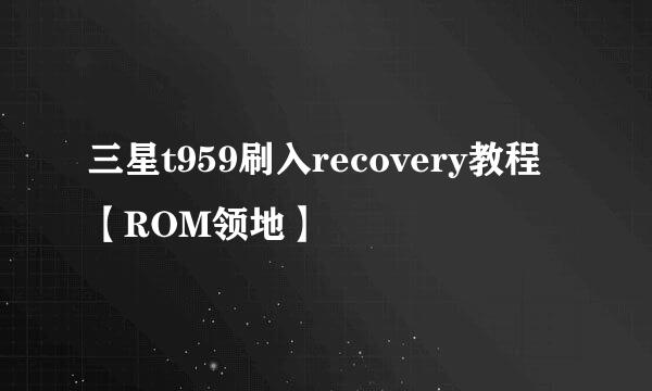 三星t959刷入recovery教程【ROM领地】