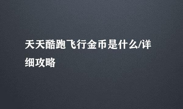 天天酷跑飞行金币是什么/详细攻略