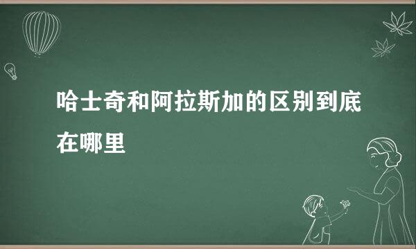 哈士奇和阿拉斯加的区别到底在哪里