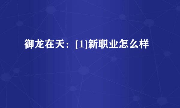 御龙在天：[1]新职业怎么样