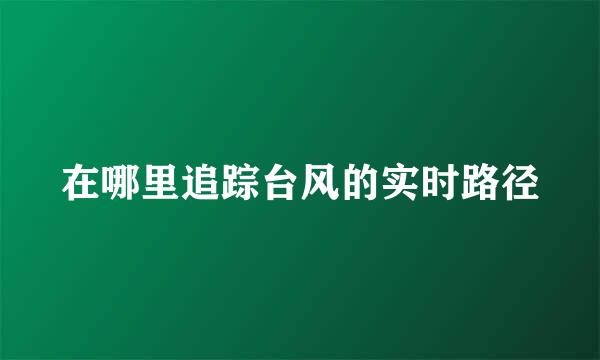 在哪里追踪台风的实时路径