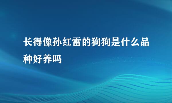 长得像孙红雷的狗狗是什么品种好养吗