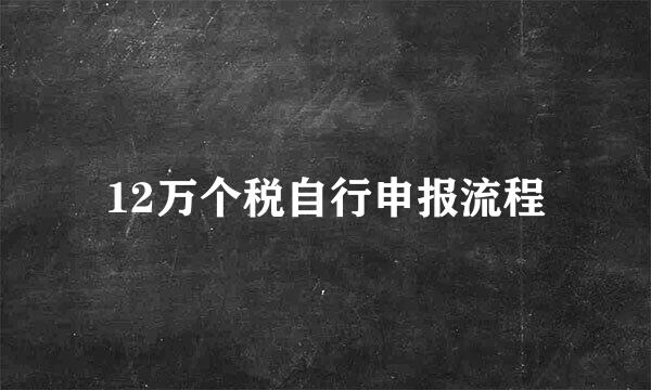 12万个税自行申报流程