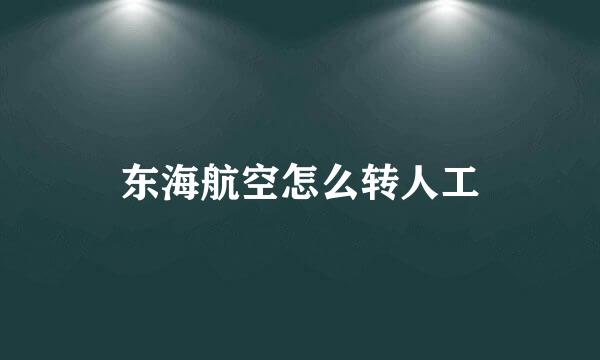 东海航空怎么转人工