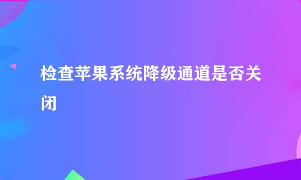 检查苹果系统降级通道是否关闭