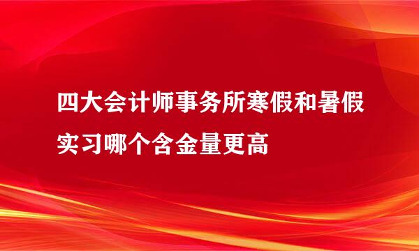 四大会计师事务所寒假和暑假实习哪个含金量更高