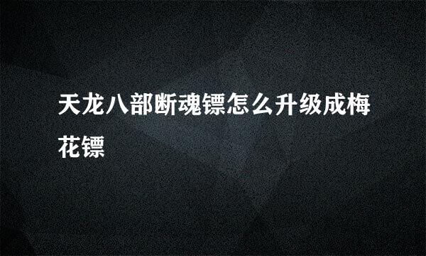 天龙八部断魂镖怎么升级成梅花镖