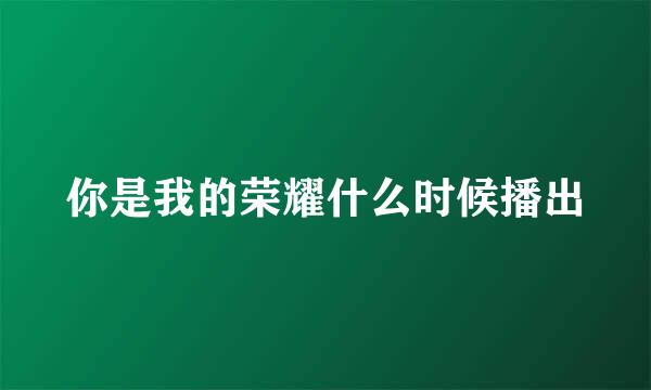 你是我的荣耀什么时候播出