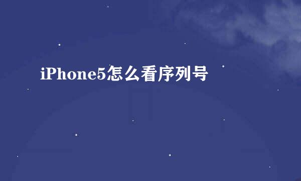 iPhone5怎么看序列号