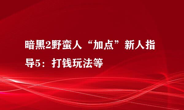 暗黑2野蛮人“加点”新人指导5：打钱玩法等