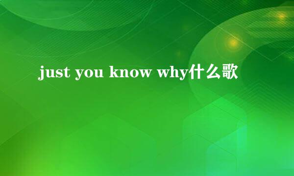 just you know why什么歌