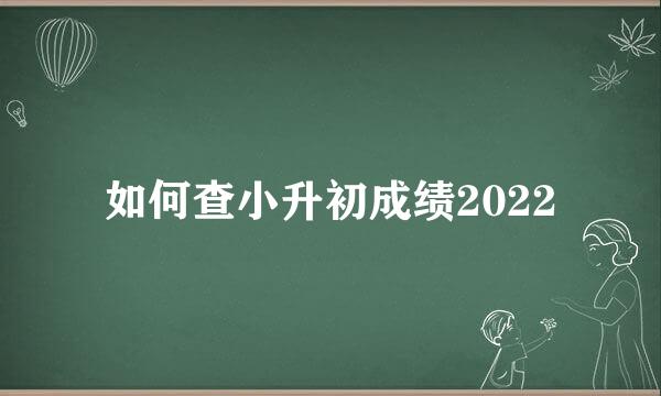 如何查小升初成绩2022