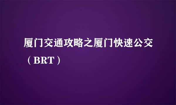 厦门交通攻略之厦门快速公交（BRT）