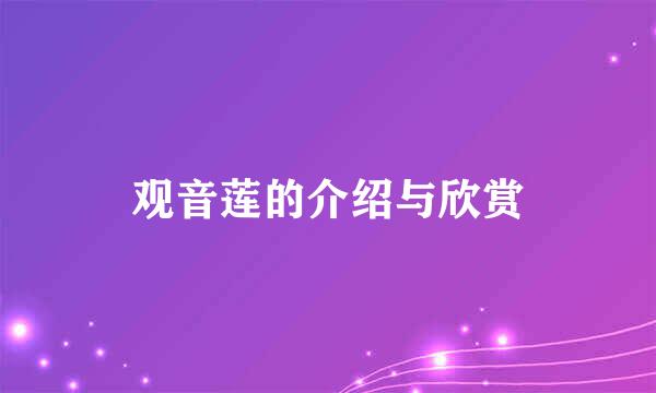 观音莲的介绍与欣赏