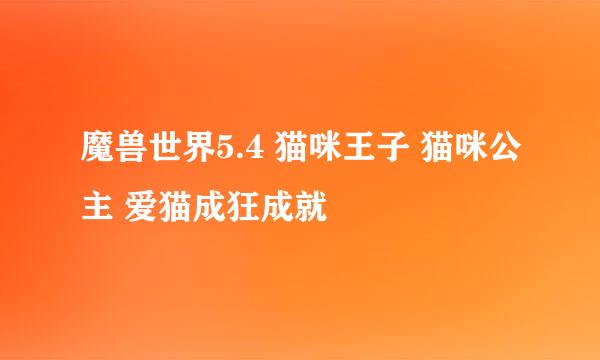 魔兽世界5.4 猫咪王子 猫咪公主 爱猫成狂成就