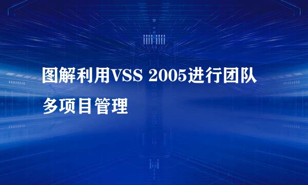 图解利用VSS 2005进行团队多项目管理