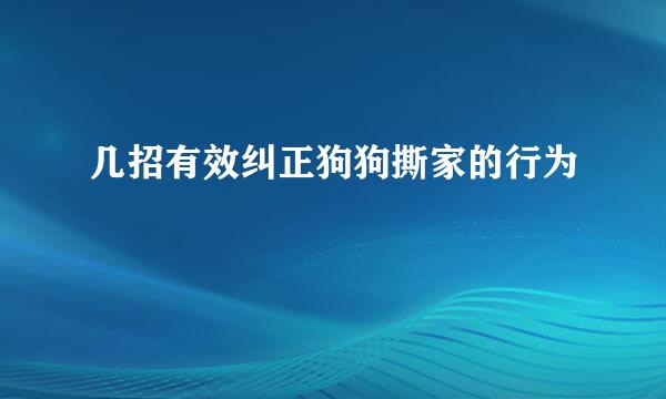 几招有效纠正狗狗撕家的行为