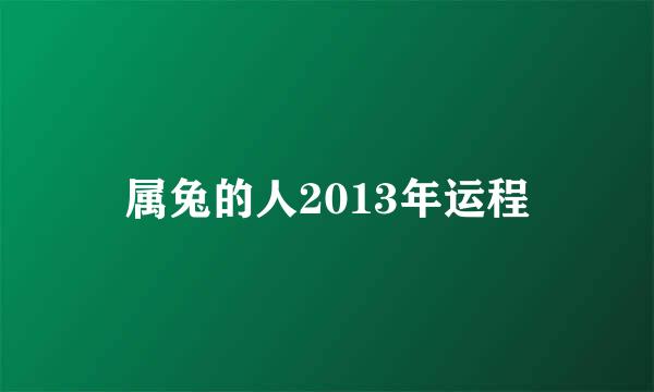 属兔的人2013年运程