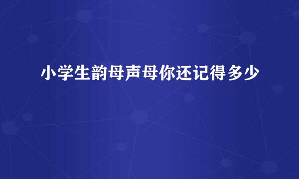 小学生韵母声母你还记得多少