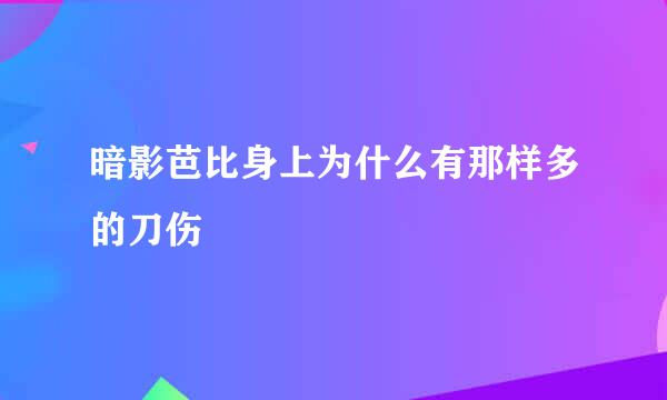 暗影芭比身上为什么有那样多的刀伤