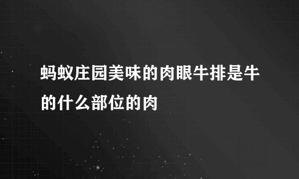 蚂蚁庄园美味的肉眼牛排是牛的什么部位的肉