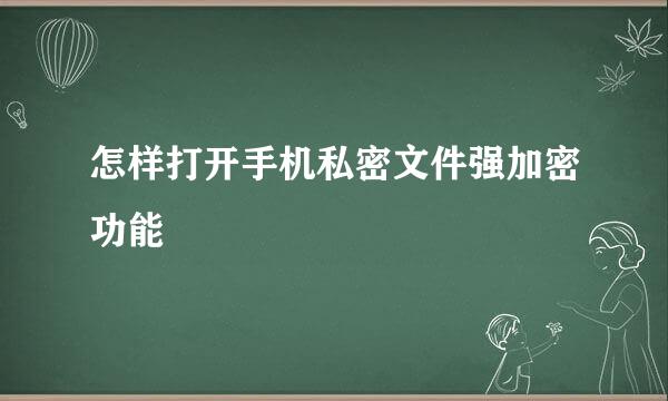 怎样打开手机私密文件强加密功能