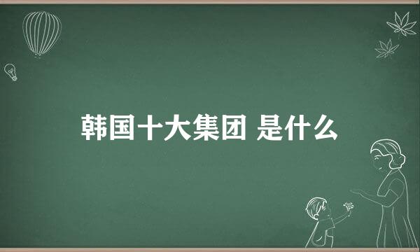 韩国十大集团 是什么