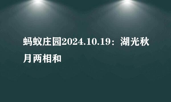 蚂蚁庄园2024.10.19：湖光秋月两相和