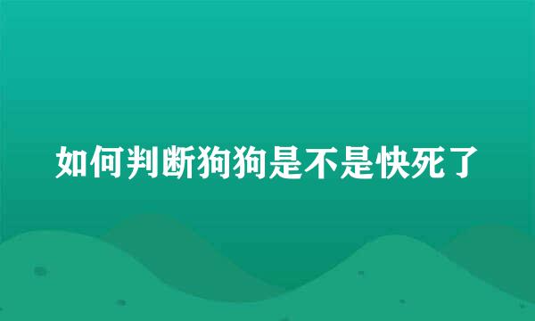 如何判断狗狗是不是快死了