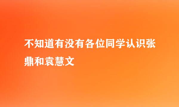 不知道有没有各位同学认识张鼎和袁慧文