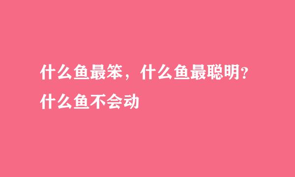 什么鱼最笨，什么鱼最聪明？什么鱼不会动