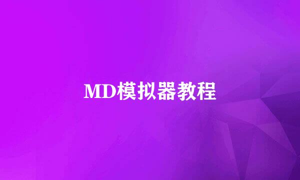 MD模拟器教程