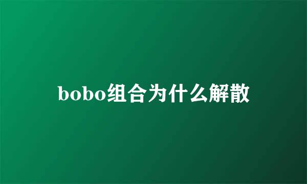 bobo组合为什么解散