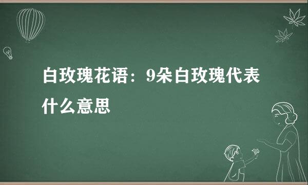 白玫瑰花语：9朵白玫瑰代表什么意思