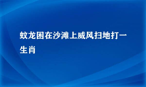 蚊龙困在沙滩上威风扫地打一生肖