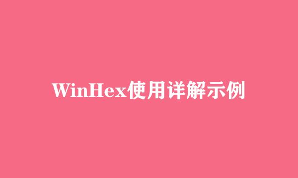 WinHex使用详解示例