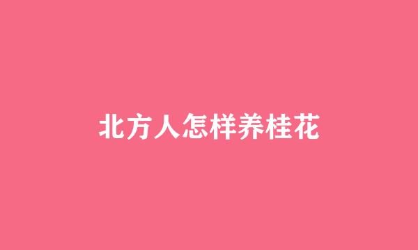 北方人怎样养桂花