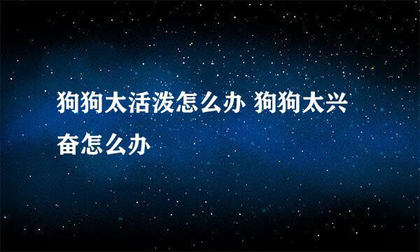 狗狗太活泼怎么办 狗狗太兴奋怎么办