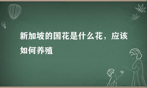 新加坡的国花是什么花，应该如何养殖