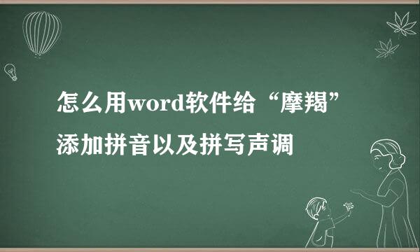 怎么用word软件给“摩羯”添加拼音以及拼写声调