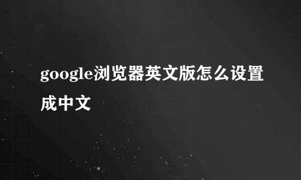 google浏览器英文版怎么设置成中文