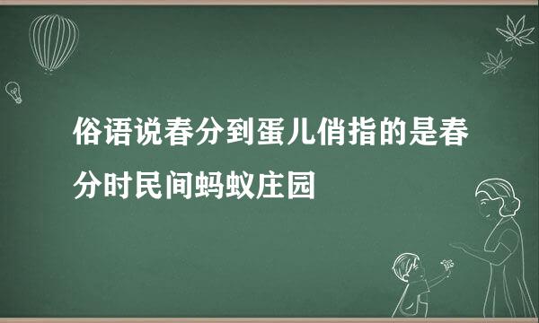 俗语说春分到蛋儿俏指的是春分时民间蚂蚁庄园