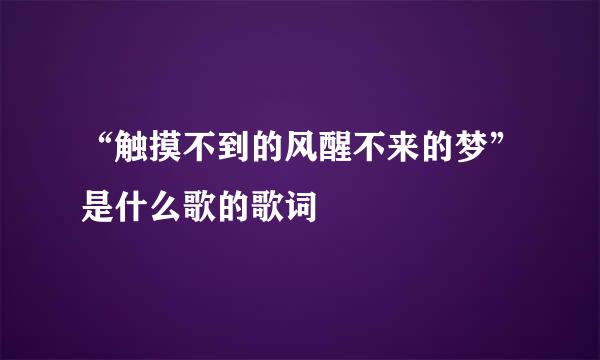 “触摸不到的风醒不来的梦”是什么歌的歌词